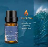 BlazeCalm Essential Oils Set